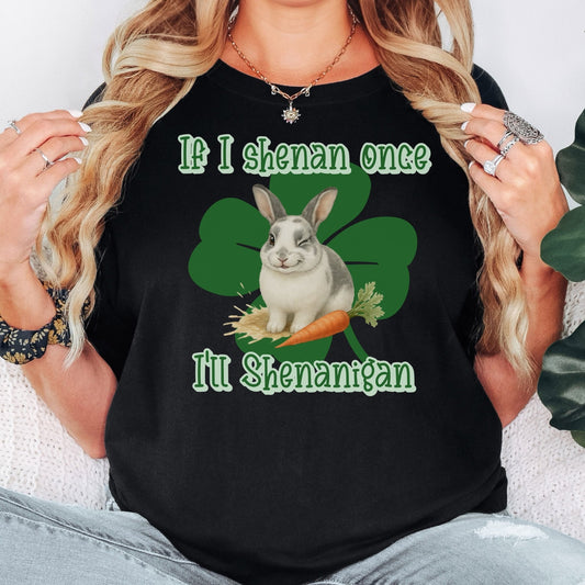 I'll Shenanigan Unisex Garment - dyed Heavyweight T-Shirt - Chester & Co.