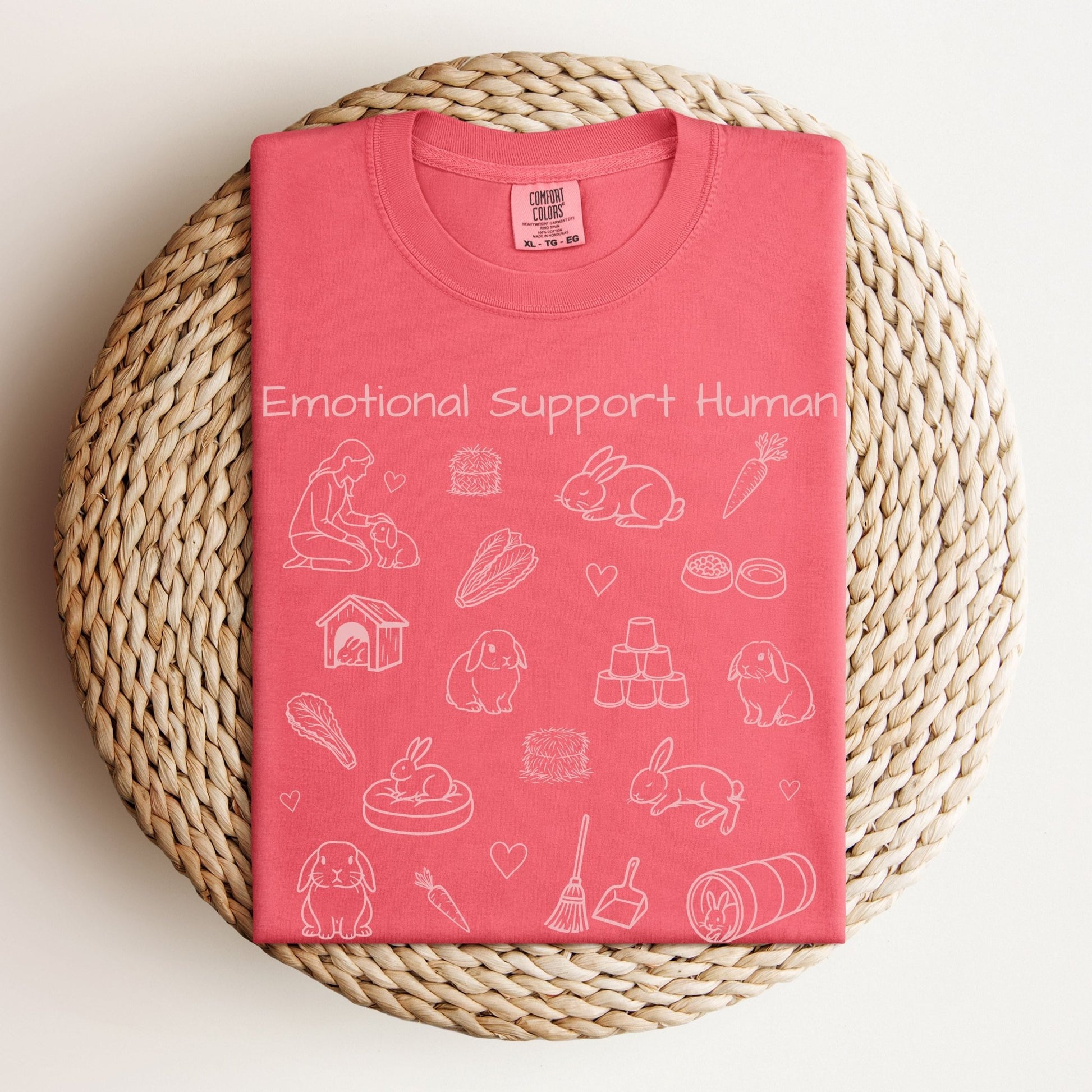 Emotional Support Human Unisex Garment - dyed Heavyweight T-Shirt - Chester & Co.