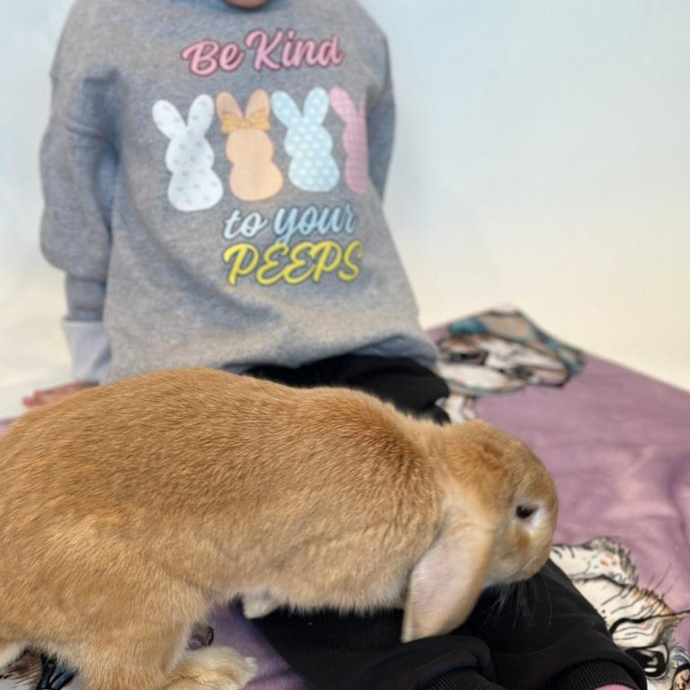 Be Kind Youth Crewneck Sweatshirt - Chester & Co.