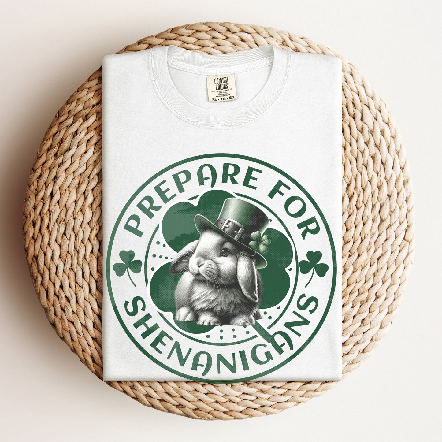 Prepare for Shenanigans Unisex Garment - dyed Heavyweight T-Shirt - Chester & Co.