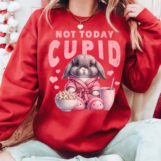 Not Today Cupid Unisex Sweatshirt - Chester & Co.