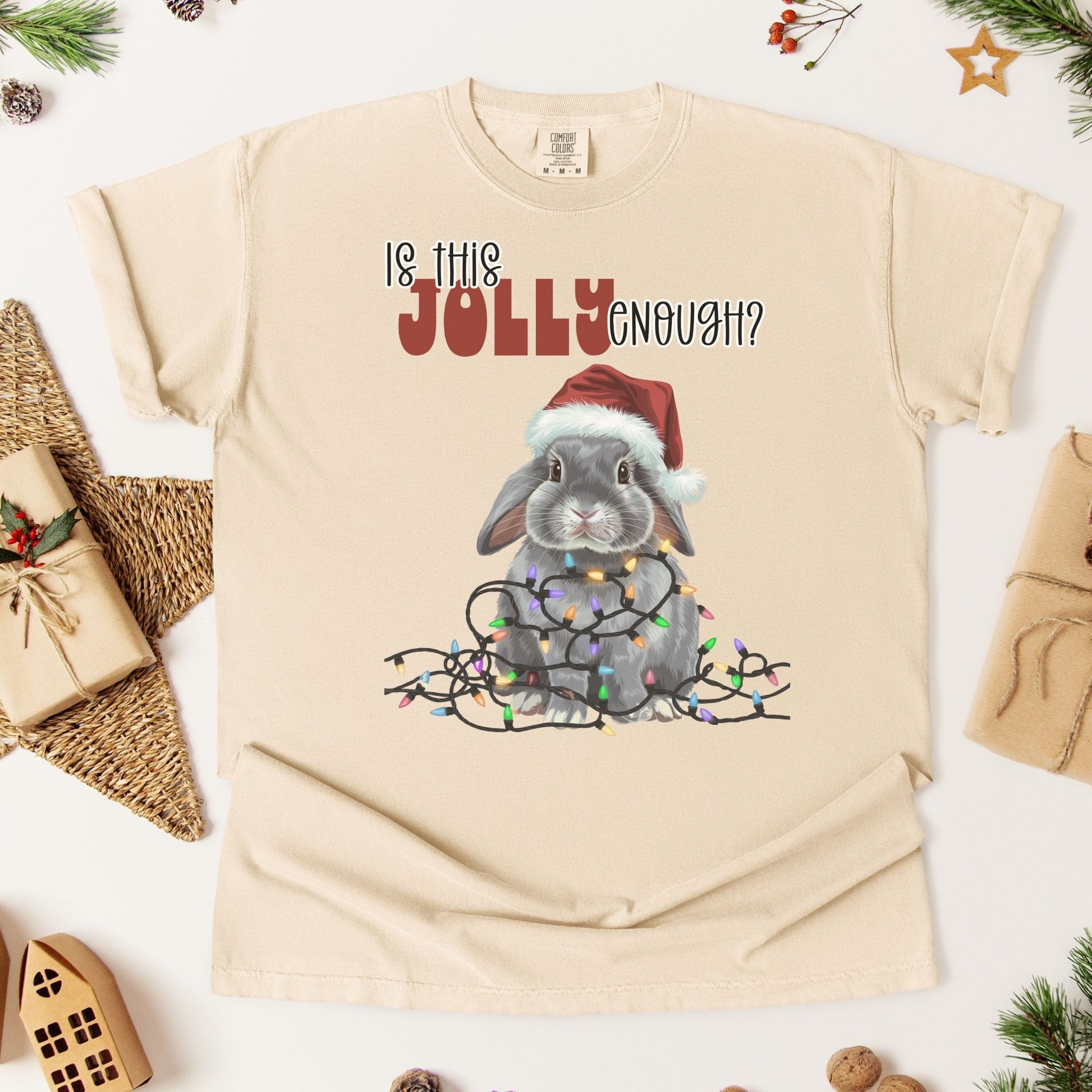 Is This Jolly Enough? Unisex Garment - dyed Heavyweight T-Shirt - Chester & Co.