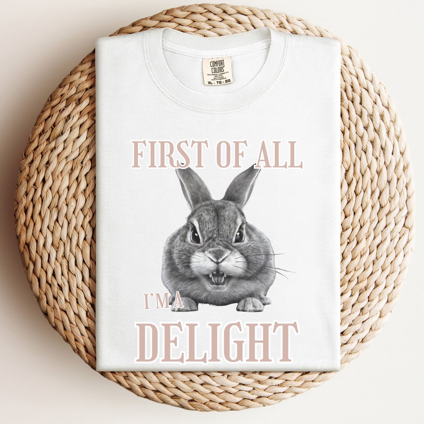 First of All, I'm a Delight Unisex Garment - dyed Heavyweight T-Shirt - Chester & Co.