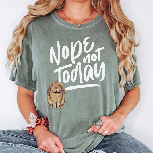 Nope Not Today Unisex Garment - dyed Heavyweight T-Shirt - Chester & Co.