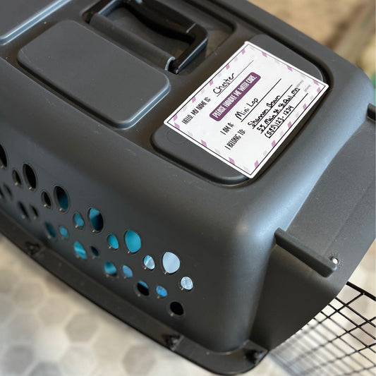 Pet Carrier Identification Sticker - Chester & Co.