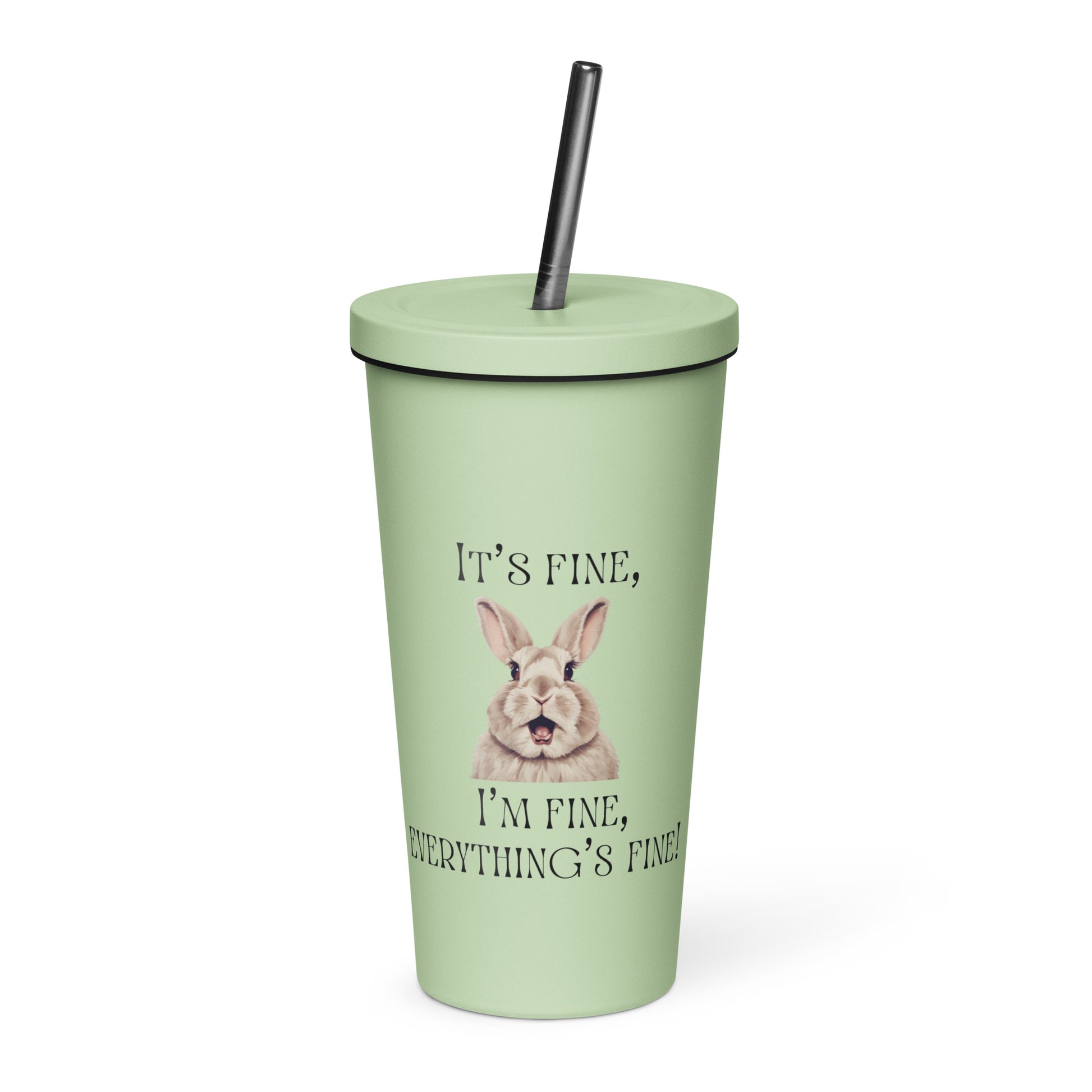 It's Fine Insulated Tumbler With a Straw - Chester & Co.