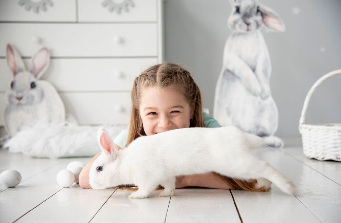 The Best Toys for Your Pet Rabbit (Chester-Approved) - Chester & Co.