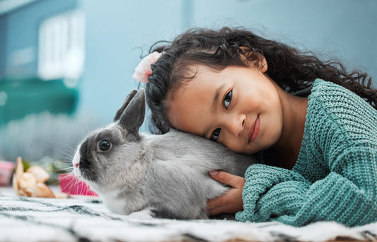 Pet Rabbits and Children: A Practical Guide for Safe, Loving Care - Chester & Co.