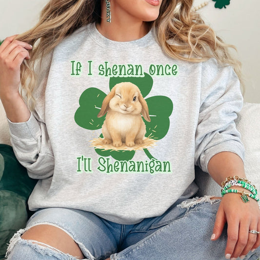 I'll Shenanigan Unisex Sweatshirt - Chester & Co.