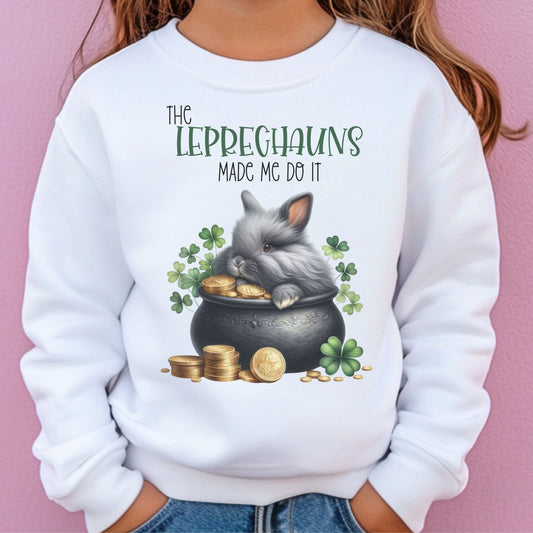 Leprechauns Made Me Youth Crewneck Sweatshirt - Chester & Co.