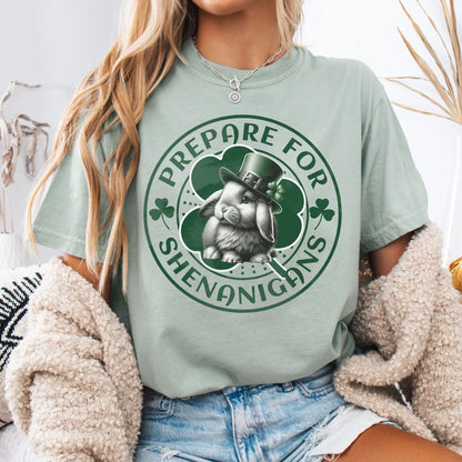 Prepare for Shenanigans Unisex Garment - dyed Heavyweight T-Shirt - Chester & Co.