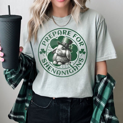 Prepare for Shenanigans Unisex Garment - dyed Heavyweight T-Shirt - Chester & Co.