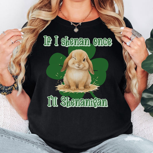 I'll Shenanigan Unisex Garment - dyed Heavyweight T-Shirt - Chester & Co.