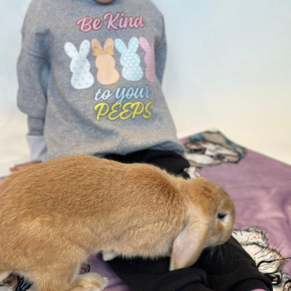 Be Kind Youth Crewneck Sweatshirt - Chester & Co.