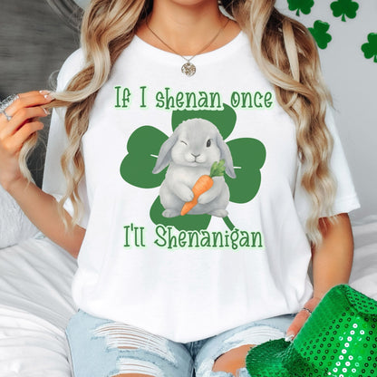I'll Shenanigan Unisex Garment - dyed Heavyweight T-Shirt - Chester & Co.