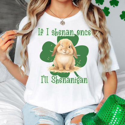 I'll Shenanigan Unisex Garment - dyed Heavyweight T-Shirt - Chester & Co.