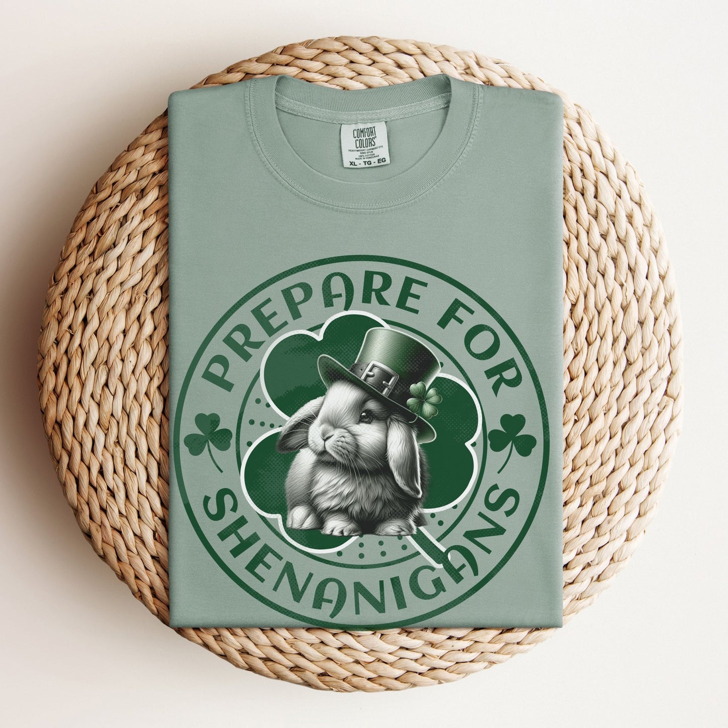 Prepare for Shenanigans Unisex Garment - dyed Heavyweight T-Shirt - Chester & Co.