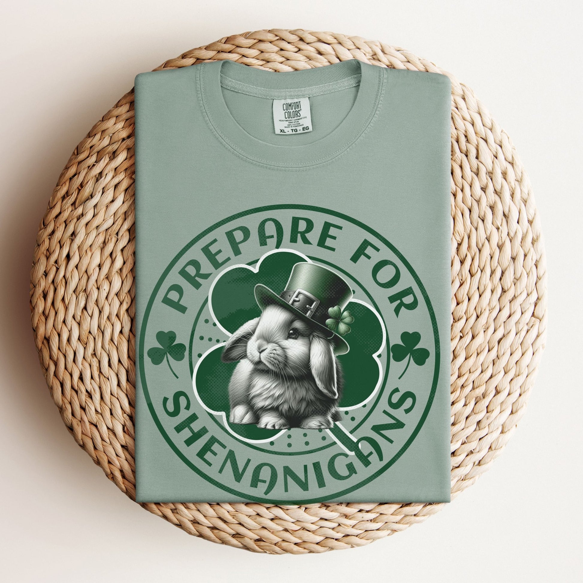 Prepare for Shenanigans Unisex Garment - dyed Heavyweight T-Shirt - Chester & Co.