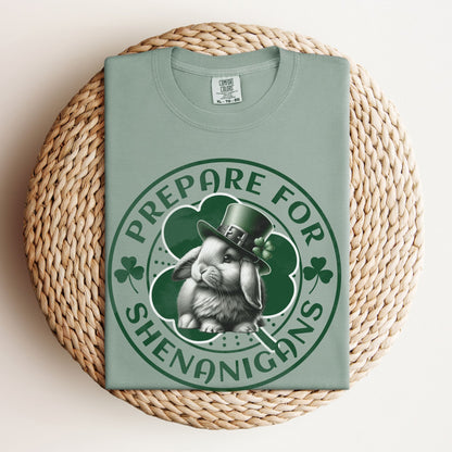 Prepare for Shenanigans Unisex Garment - dyed Heavyweight T-Shirt - Chester & Co.