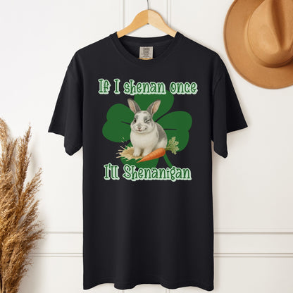 I'll Shenanigan Unisex Garment - dyed Heavyweight T-Shirt - Chester & Co.