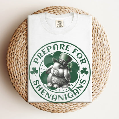 Prepare for Shenanigans Unisex Garment - dyed Heavyweight T-Shirt - Chester & Co.