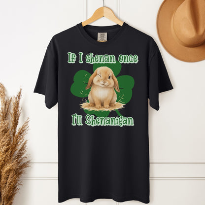 I'll Shenanigan Unisex Garment - dyed Heavyweight T-Shirt - Chester & Co.