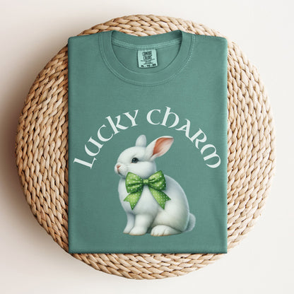 Lucky Charm Unisex Garment - dyed Heavyweight T-Shirt - Chester & Co.