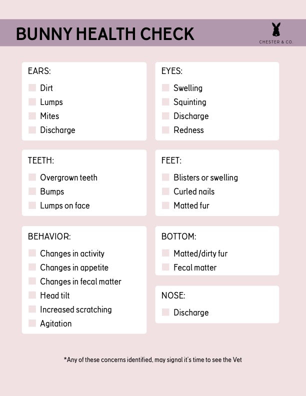 Insiders Only Instant Printables – Chester & Co.