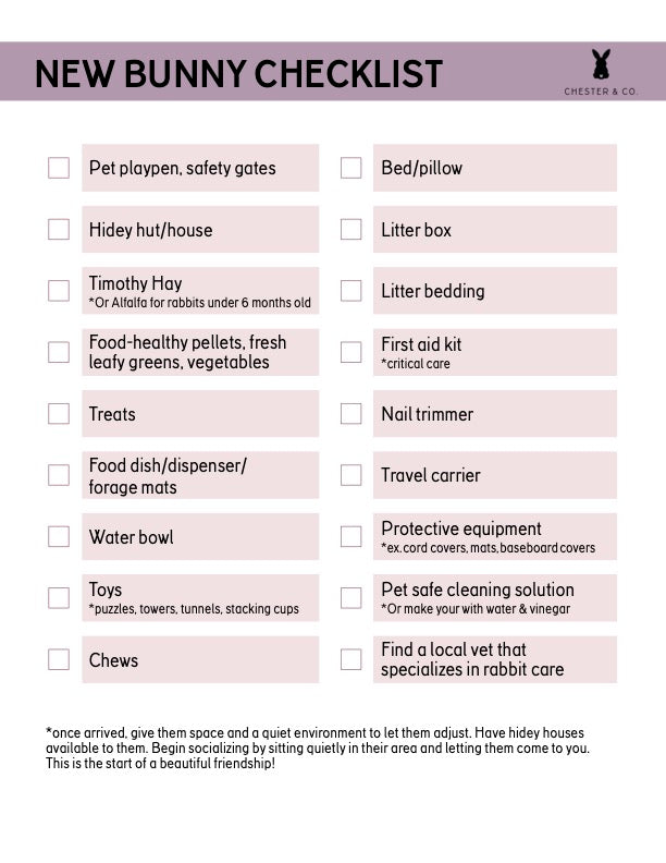 Insiders Only Instant Printables – Chester & Co.