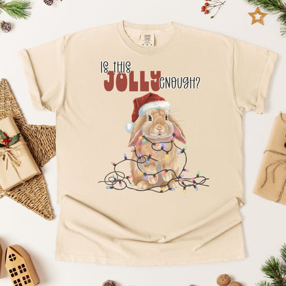 Is This Jolly Enough? Unisex Garment - dyed Heavyweight T-Shirt - Chester & Co.