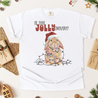 Is This Jolly Enough? Unisex Garment - dyed Heavyweight T-Shirt - Chester & Co.