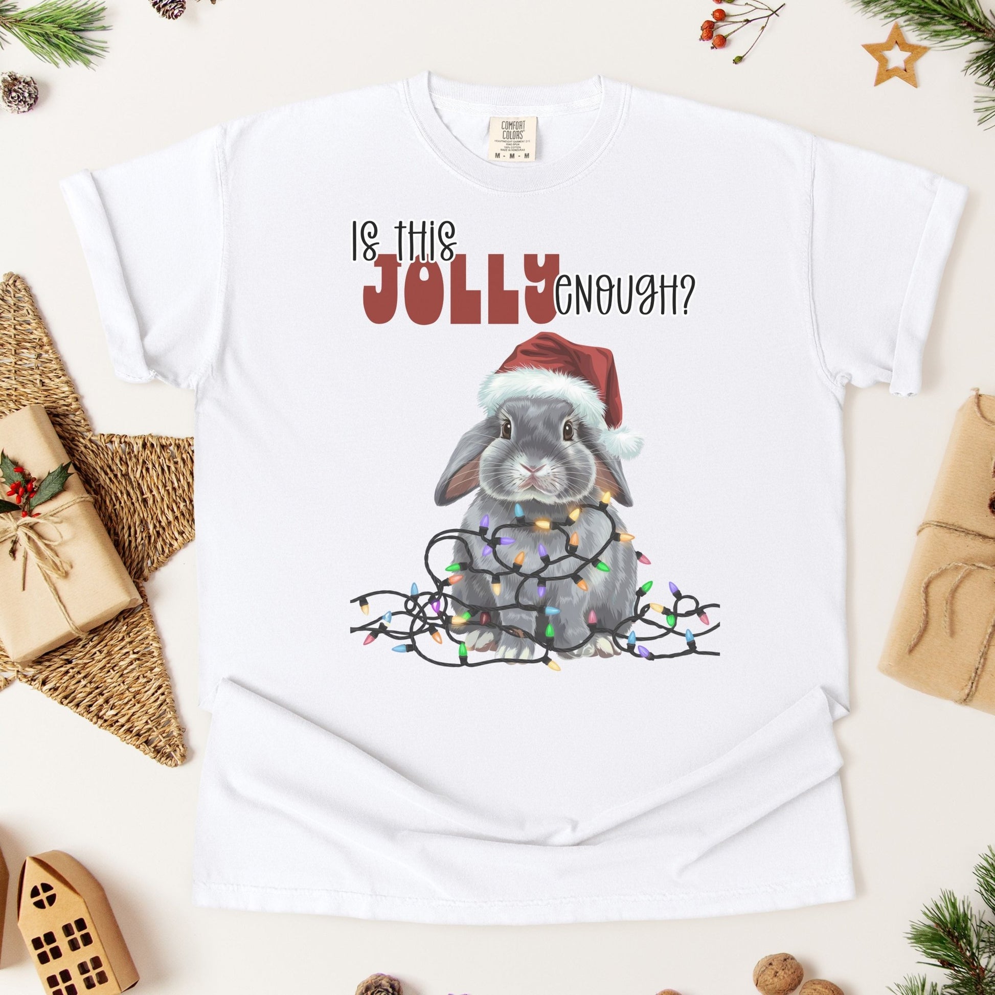 Is This Jolly Enough? Unisex Garment - dyed Heavyweight T-Shirt - Chester & Co.