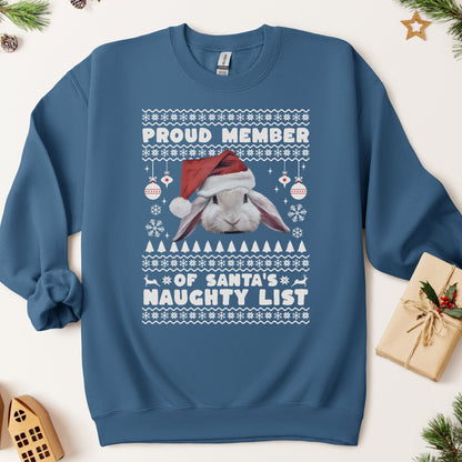 Member of Santa's Naughty List Unisex Sweatshirt - Chester & Co.