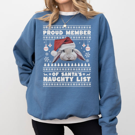Member of Santa's Naughty List Unisex Sweatshirt - Chester & Co.
