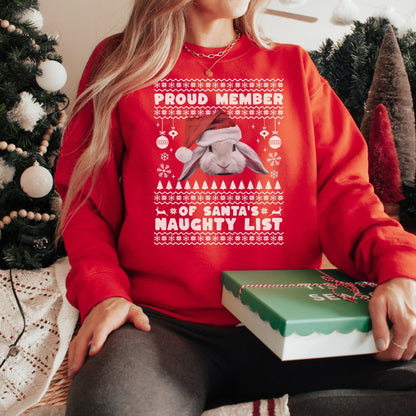 Member of Santa's Naughty List Unisex Sweatshirt - Chester & Co.
