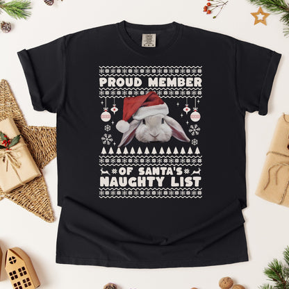 Member of Santa's Naughty List Unisex Garment - dyed Heavyweight T-Shirt - Chester & Co.