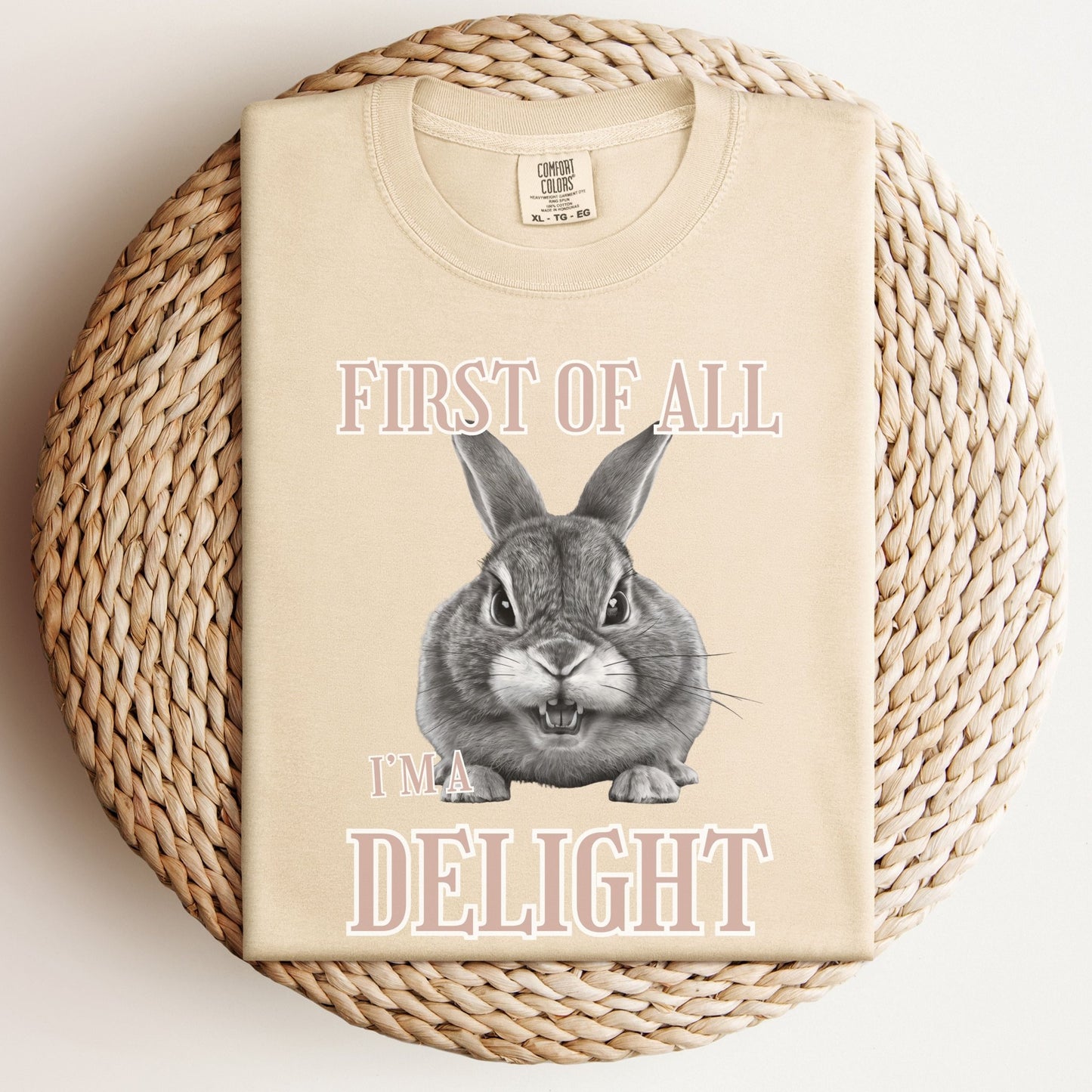 First of All, I'm a Delight Unisex Garment - dyed Heavyweight T-Shirt - Chester & Co.