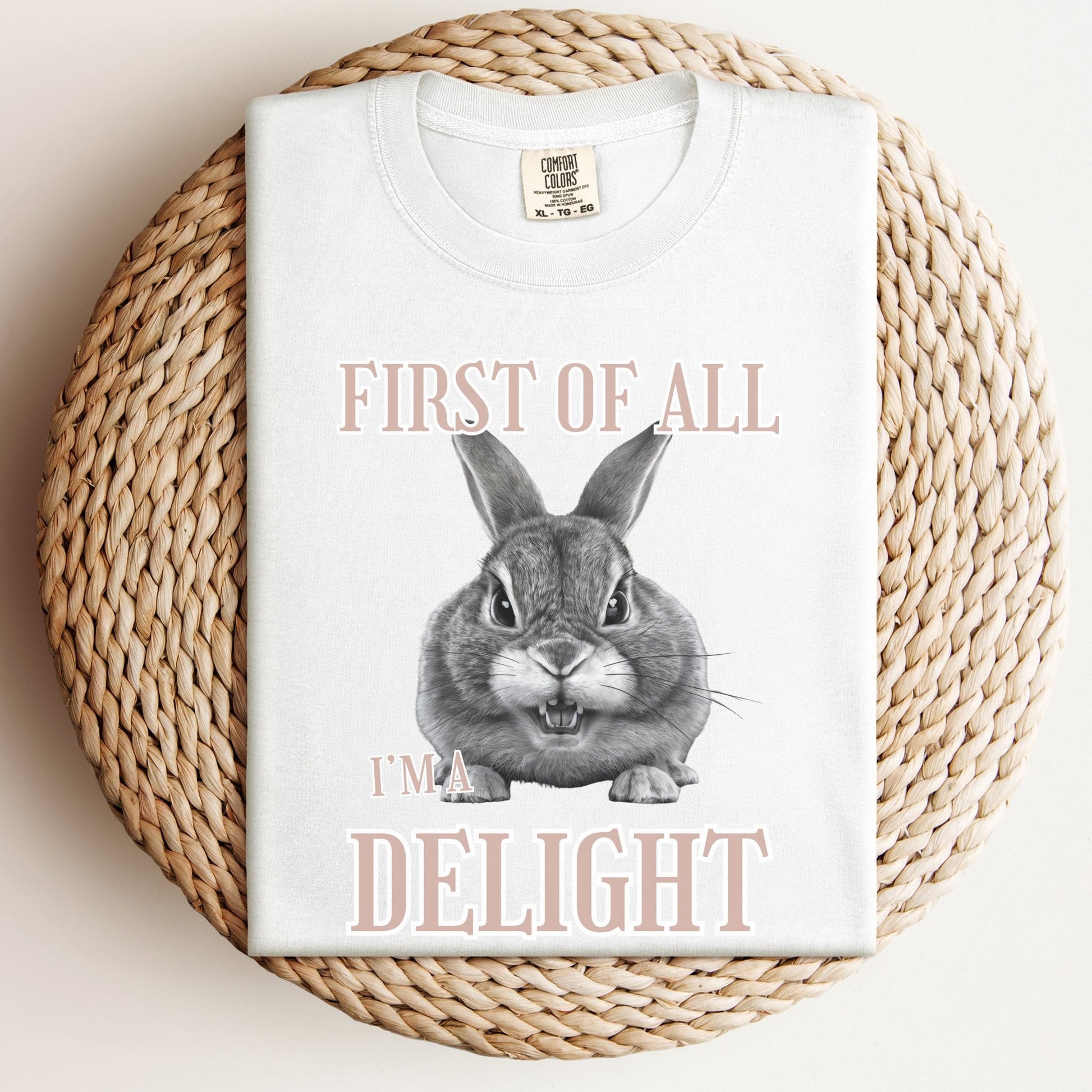 First of All, I'm a Delight Unisex Garment - dyed Heavyweight T-Shirt - Chester & Co.
