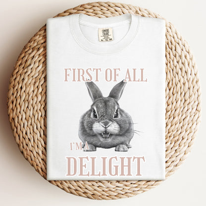 First of All, I'm a Delight Unisex Garment - dyed Heavyweight T-Shirt - Chester & Co.