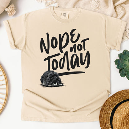 Nope Not Today Unisex Garment - dyed Heavyweight T-Shirt - Chester & Co.