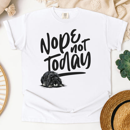 Nope Not Today Unisex Garment - dyed Heavyweight T-Shirt - Chester & Co.