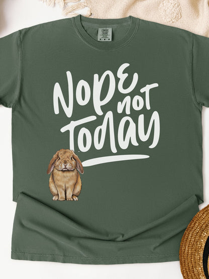 Nope Not Today Unisex Garment - dyed Heavyweight T-Shirt - Chester & Co.