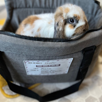 Pet Carrier Identification Sticker - Chester & Co.