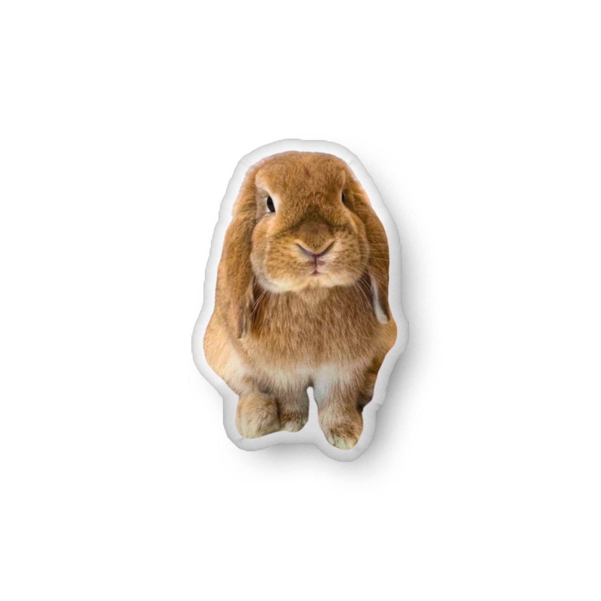 Your Photo Custom - Shaped Pillow - Chester & Co.