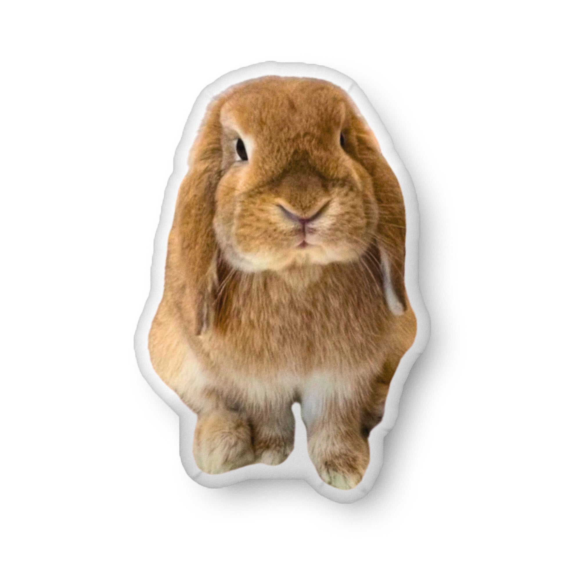 Your Photo Custom - Shaped Pillow - Chester & Co.